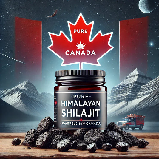Where to Buy Pure Himalayan Shilajit in Canada?