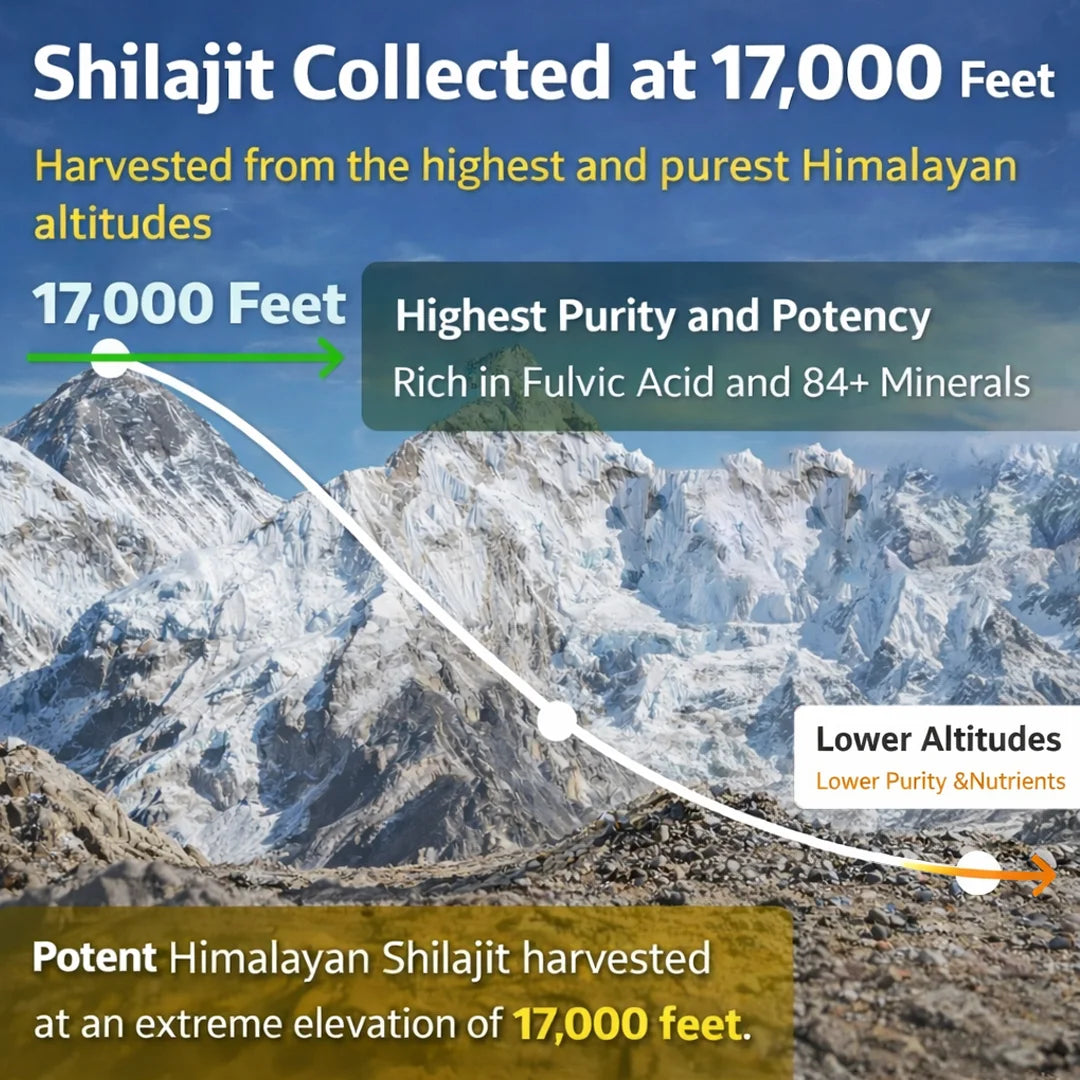 Pure Himalayan Shilajit Resin
