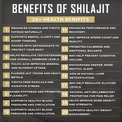 Himalayan Shilajit Benefits